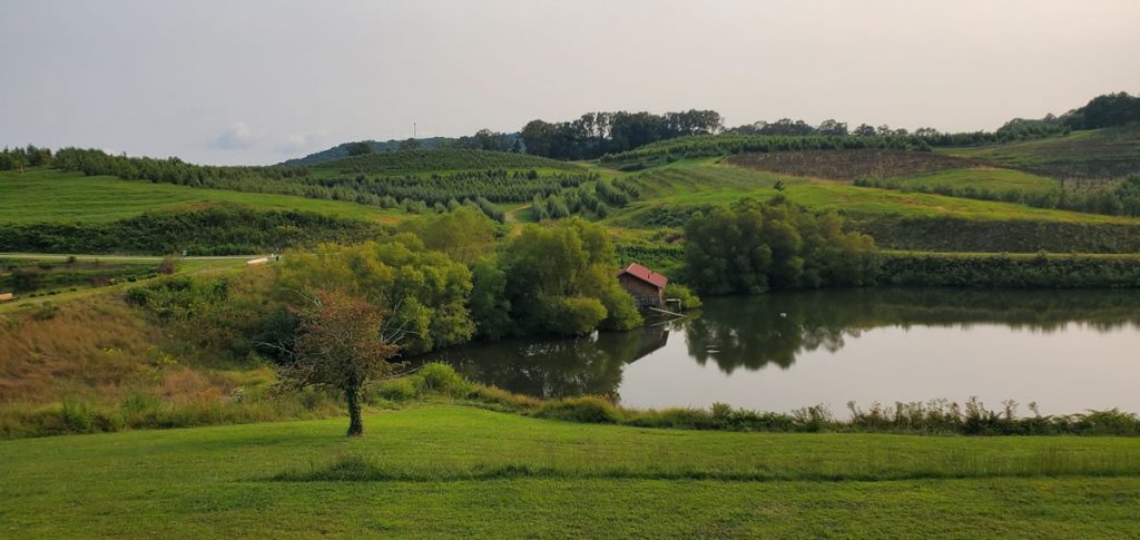 mercier orchards lake