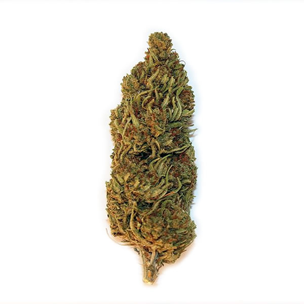 forbidden v CBDV flower