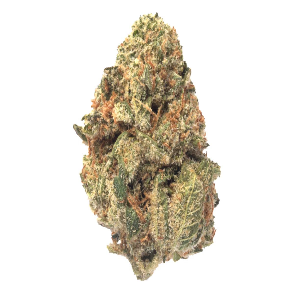 thca flower hybrid