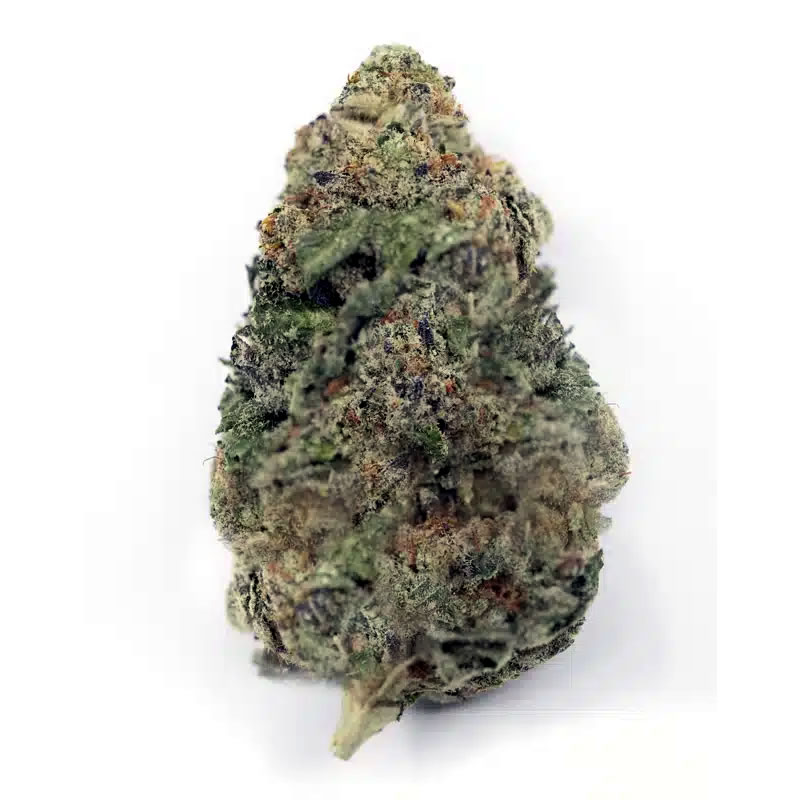 3chi thca flower hybrid