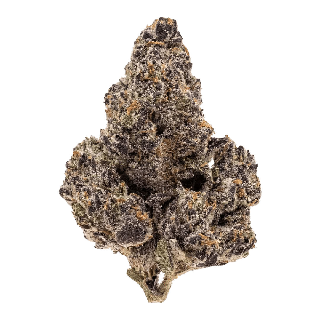 durban poison thca flower