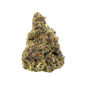 hybrid thca flower strain biscotti