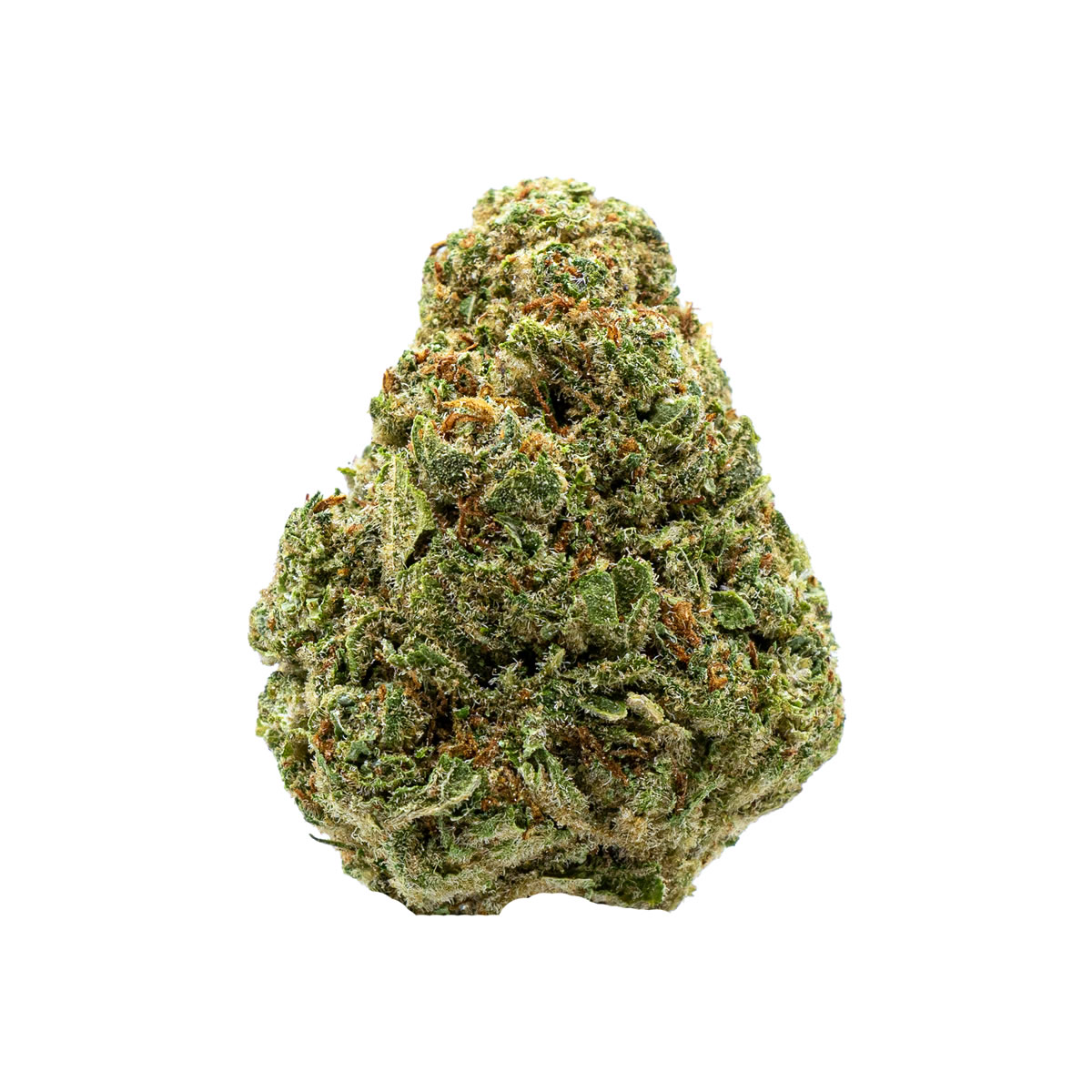 Close-up of premium Fruity Pebbles THCA Flower showcasing dense, frosty green buds with vibrant orange hairs and a sweet, fruit-forward terpene profile.