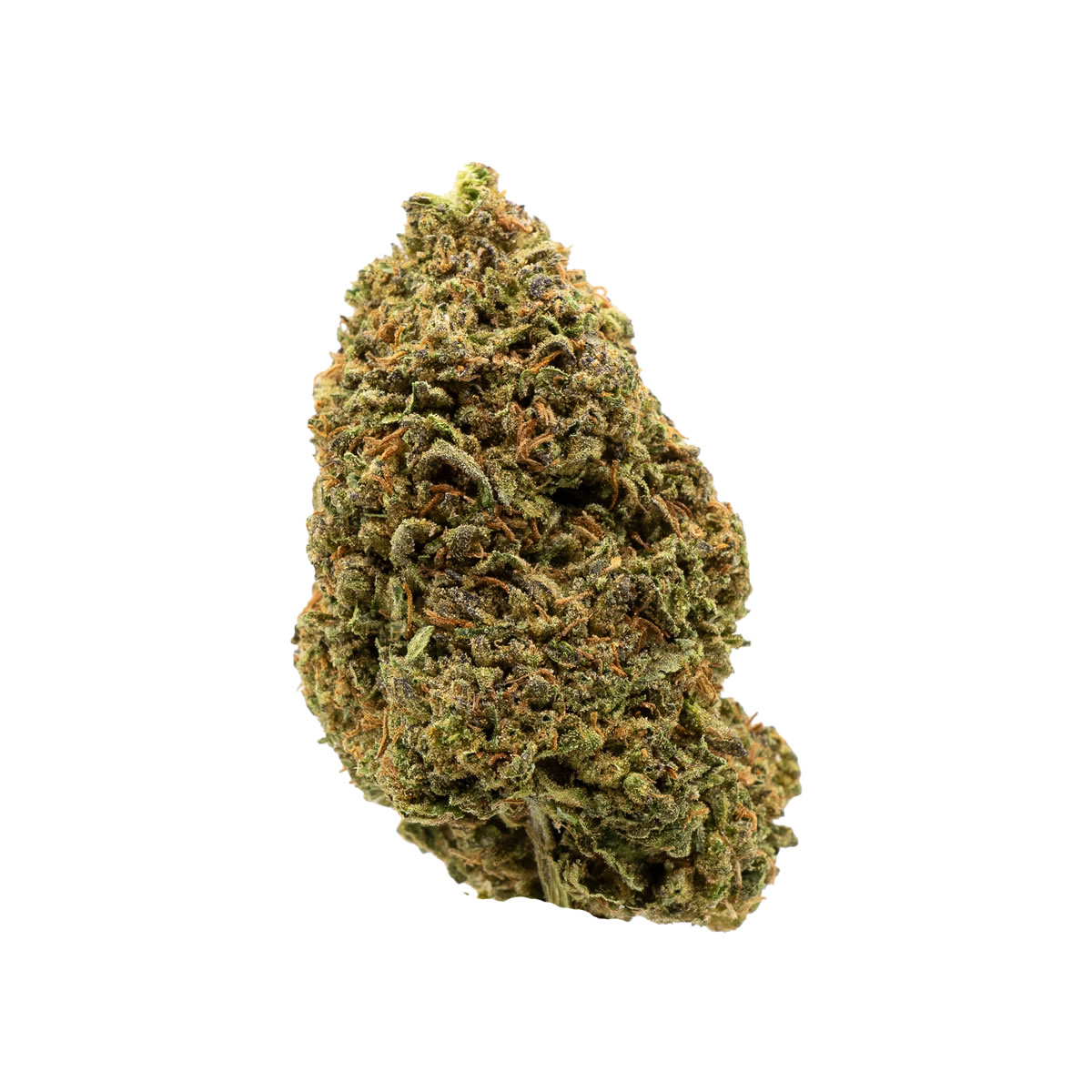 Close-up of Golden Gas THCA Flower showcasing dense, frosty green buds with bright orange pistils and a bold diesel-forward terpene profile.